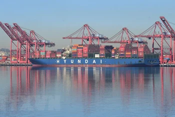 Quang cảnh cảng container Long Beach, Mỹ. (Ảnh: AFP/TTXVN)