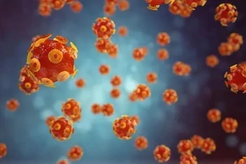 Hình ảnh mô phỏng virus gây bệnh viêm gan. (Ảnh: Getty Images/TTXVN)