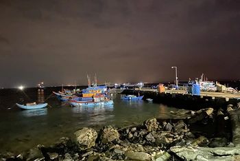 Cảng cá Lý Sơn về đêm, trước những chuyến ra khơi từ tờ mờ sáng.
