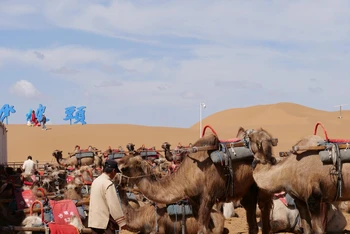 Sa mạc Tengger (hay Tenggeli theo phiên âm tiếng Trung Quốc) nằm giữa ba địa phương là khu tự trị dân tộc Hồi Ninh Hạ, khu tự trị Nội Mông Cổ và tỉnh Cam Túc, có diện tích 43.000 km2.