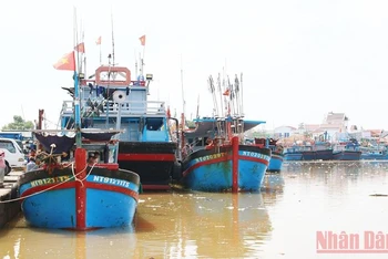 Giá nhiên liệu tăng cao, nhiều tàu cá có công suất lớn của ngư dân Ninh Thuận phải nằm bờ những tháng qua. 