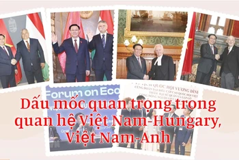 Dấu mốc quan trọng trong quan hệ Việt Nam-Hungary, Việt Nam-Anh