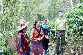 Cán bộ kiểm lâm tuyên truyền biện pháp bảo vệ rừng đến người dân xã Mường Nhé (huyện Mường Nhé, tỉnh Điện Biên).