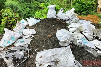Nhiều bao tải chứa chất thải lạ đổ trộm trong rừng Khe Tao. 