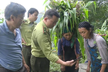 Cán bộ Hạt kiểm lâm huyện Đồng Văn tuyên truyền người dân không săn bắt, bẫy đàn khỉ.