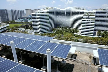 Các tấm pin mặt trời trên mái một khu nhà ở công cộng ở Singapore. (Ảnh: REUTERS)