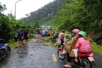Dông lốc làm nhiều cây xanh gãy đổ gây ách tắc giao thông trên các tuyến đường tại thị trấn Na Hang.