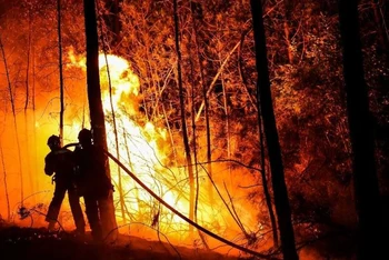 Lực lượng cứu hỏa làm nhiệm vụ xuyên đêm để khống chế đám cháy khổng lồ gần khu vực Besseges ở miền nam nước Pháp.
