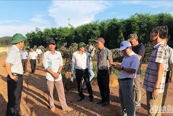Phó Chủ tịch Ủy ban nhân dân tỉnh Gia Lai Nguyễn Hữu Quế (ngoài cùng bên trái) kiểm tra hiện trường sự cố vỡ đập thủy điện Ia Glae2.