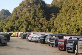 Hàng nghìn xe chở nông sản vẫn đang ùn ứ ở cửa khẩu Tân Thanh, Văn Lãng (Lạng Sơn). (Ảnh minh họa)