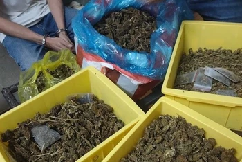 Tang vật vụ án thu giữ tại hiện trường. (Ảnh: Công an cung cấp)