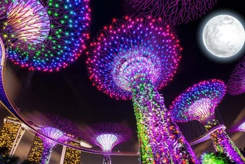 Trình diễn ánh sáng hiện đại trong dịp Trung thu 2022 tại Singapore. (Ảnh: Gardens by the Bay)