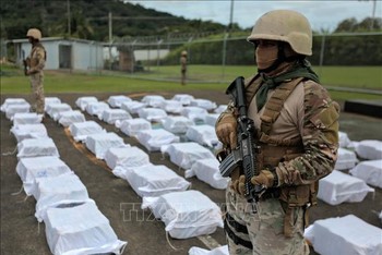 Cảnh sát Panama trưng bày số ma túy thu giữ trong một chiến dịch chống buôn lậu ma túy tại Panama City. (Ảnh tư liệu: AFP/TTXVN)