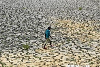 Lòng sông khô cạn do các đợt nắng nóng và hạn hán kéo dài tại New Delhi, Ấn Độ. (Ảnh: AFP/TTXVN)