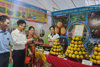 Gian hàng trưng bày sản phẩm cam của huyện Can Lộc tại Lễ hội Cam.