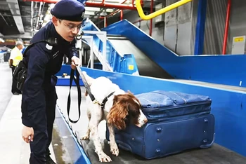 Lực lượng an ninh Singapore kiểm tra ma túy tại sân bay. Ảnh: CNB
