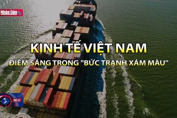 Kinh tế Việt Nam - Điểm sáng trong ''bức tranh xám màu''