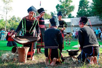Chuẩn bị cho lễ mừng lúa mới. (Ảnh: Làng Văn hóa-Du lịch các dân tộc Việt Nam)