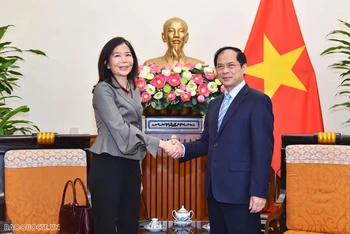 Bộ trưởng Ngoại giao Bùi Thanh Sơn tiếp bà Pauline Tamesis, Điều phối viên thường trú Liên hợp quốc (LHQ) tại Việt Nam. (Ảnh: Báo Quốc tế)