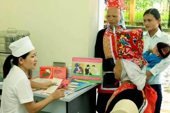 Ảnh minh họa. (Ảnh: TTXVN)