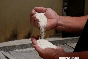 Indonesia nhập khẩu 1 triệu tấn gạo từ Thái Lan, Việt Nam, Pakistan và Myanmar. (Ảnh: HỒNG ĐẠT/TTXVN)