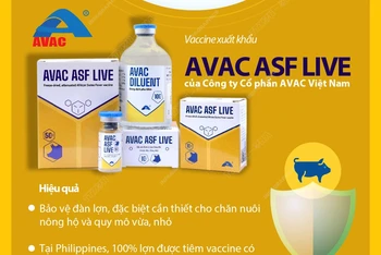 Việt Nam chính thức xuất khẩu vaccine phòng bệnh dịch tả lợn châu Phi