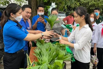 Các em học sinh Trường trung học cơ sở Hoàng Khai, huyện Yên Sơn, tỉnh Tuyên Quang tham gia đổi rác thải nhựa lấy cây xanh.