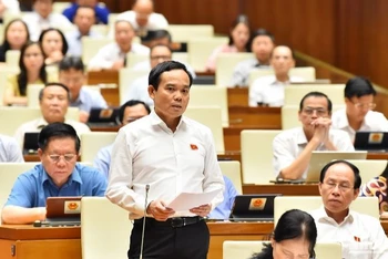 Phó Thủ tướng Chính phủ Trần Lưu Quang phát biểu tại phiên chất vấn sáng 7/6. (Ảnh: THỦY NGUYÊN) 