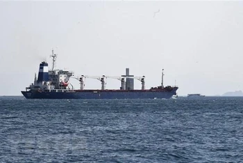 Tàu chở ngũ cốc của Ukraine đi qua Eo biển Bosphorus ở Istanbul, Thổ Nhĩ Kỳ. (Ảnh: THX/TTXVN)