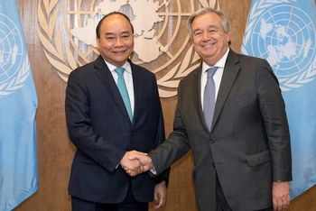 Hợp tác Việt Nam và Liên hợp quốc 