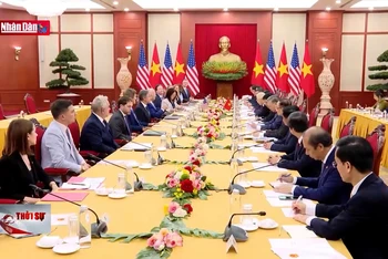 Việt Nam và Hoa Kỳ nhất trí nâng cấp quan hệ lên đối tác chiến lược toàn diện