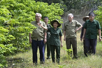 Cựu thanh niên xung phong Nguyễn Thị Lý hướng dẫn các cựu thanh niên xung phong thăm vườn na của gia đình cho thu nhập hằng năm hơn 300 triệu đồng.