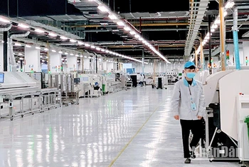 Lao động tại nhà máy sản xuất của Công ty Pegatron Việt Nam, khu công nghiệp DEEP C Hải Phòng. (Ảnh: Quang Dũng)