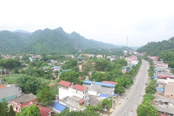 Một góc thị trấn Đồng Tâm, huyện lỵ của Chợ Mới. (Ảnh: NGỌC TÚ)