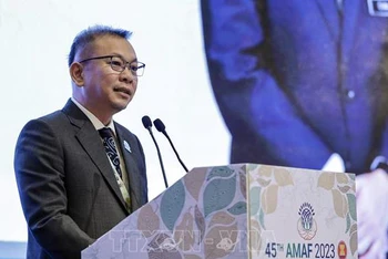 Thứ trưởng Nông nghiệp và An ninh lương thực Malaysia Chan Foong Hin phát biểu tại hội nghị. (Ảnh: TTXVN)