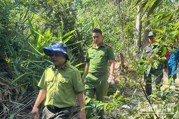 Các lực lượng chức năng huyện Ia H'Drai phối hợp tuần tra truy quét, bảo vệ rừng.
