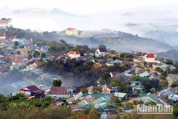  Chiều phố núi Đà Lạt.