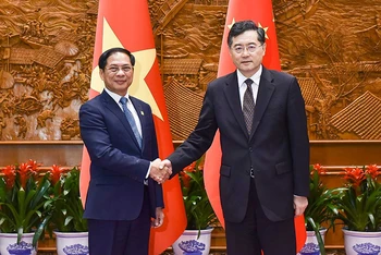 Bộ trưởng Ngoại giao Bùi Thanh Sơn và Ủy viên Quốc vụ, Bộ trưởng Ngoại giao Trung Quốc Tần Cương. (Ảnh: Bộ Ngoại giao)