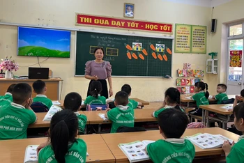 Giờ học của học sinh Trường tiểu học Lê Văn Tám.