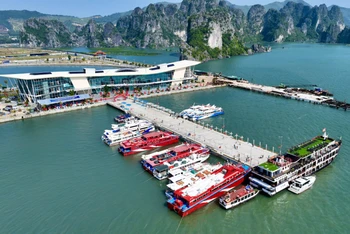 Cảng cao cấp Ao Tiên (huyện Vân Đồn) được đưa vào hoạt động từ tháng 3/2023.