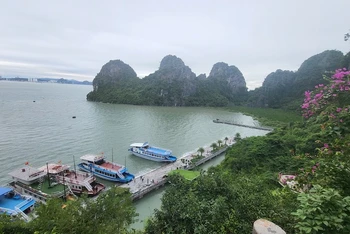 Quảng Ninh tạm ngừng cấp phép cho các tàu du lịch hoạt động trên Vịnh Hạ Long từ 15 giờ ngày 19/10.