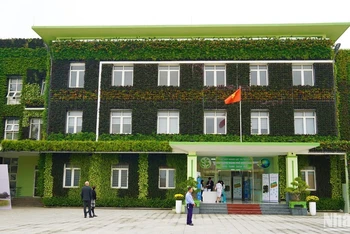 Tòa nhà xanh của Ban quản lý dịch vụ công ích thành phố Đồng Hới làm nhiều người thích thú. (Ảnh: HƯƠNG GIANG)