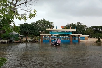Một số địa phương trên địa bàn tỉnh Bình Định đã bị ngập sâu do mưa lũ.