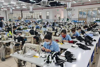 Mặc dù gặp khó khăn nhưng nhiều doanh nghiệp may ở Nghệ An vẫn duy trì được đơn hàng đến hết quý I/2023.