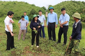 Lãnh đạo Hội đồng nhân dân tỉnh Điện Biên giám sát tiến độ dự án hỗ trợ sản xuất tại huyện Điện Biên Đông. 