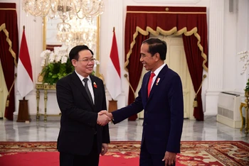 Chủ tịch Quốc hội Vương Đình Huệ hội kiến Tổng thống Indonesia Joko Widodo. (Ảnh: CTV)