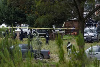 Mexico: Đấu súng giữa các băng nhóm tội phạm đòi tiền bảo kê, 11 người tử vong