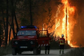 Lính cứu hỏa quan sát một đám cháy rừng ở khu vực Ourem, Bồ Đào Nha, hôm 12/7. (Ảnh: Reuters)