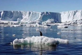 Hiện Bán đảo Nam Cực là nơi đang nóng lên nhanh nhất thế giới, với nhiệt độ trung bình tăng gần 3 độ C trong vòng 50 năm qua. (Nguồn: hindustantimes.com)