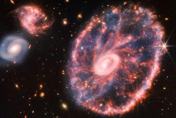 Hình ảnh thiên hà Cartwheel do kính thiên văn Webb chụp được. (Nguồn: NASA )